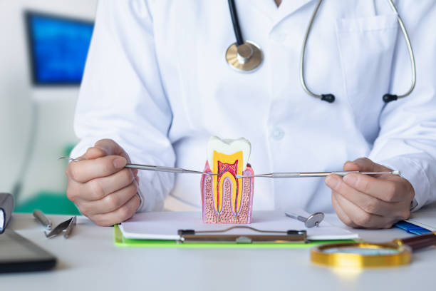 Best Emergency Root Canal Treatment in East Rockingham, NC